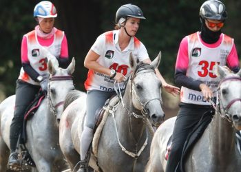Endurance a Montalcino: i Campionati Italiani 2026 in Val d’Orcia