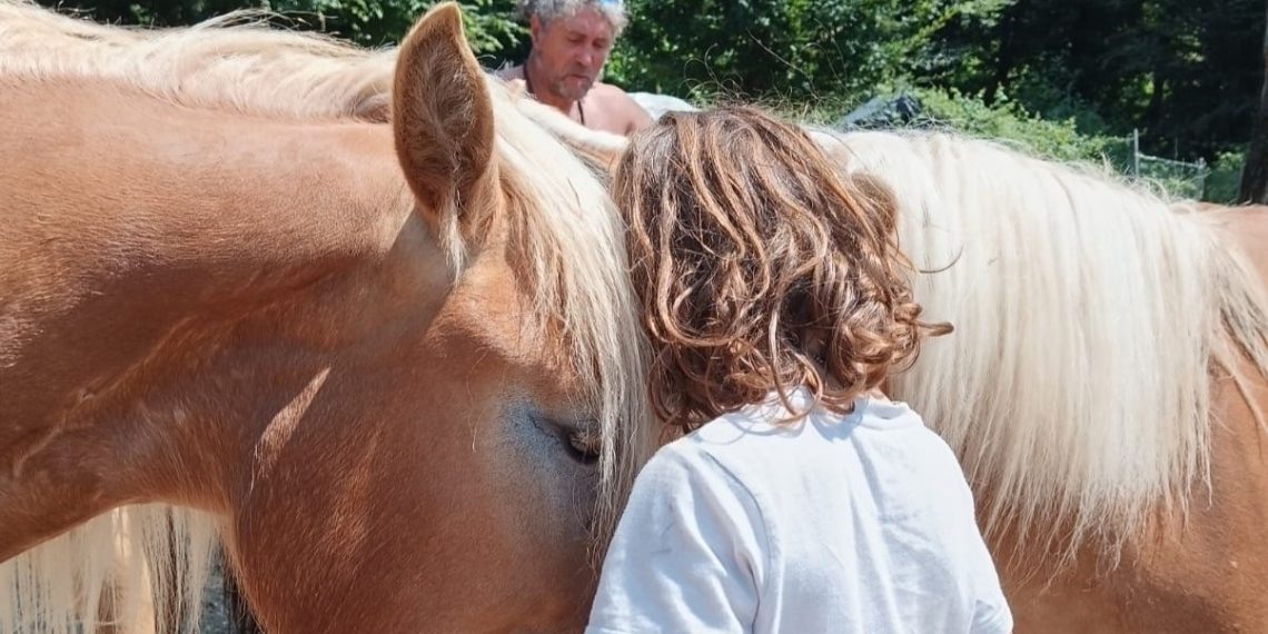 “Non vogliamo separare la nostra famiglia”: l’appello di Melissa per salvare i suoi animali