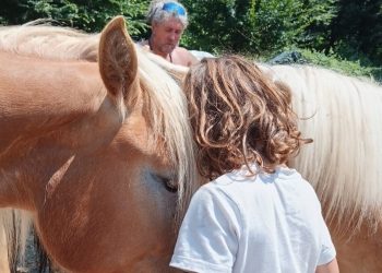 “Non vogliamo separare la nostra famiglia”: l’appello di Melissa per salvare i suoi animali