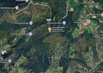 Miracolo a Sesto Fiorentino: 6 cavalli per strada al galoppo, nessun incidente