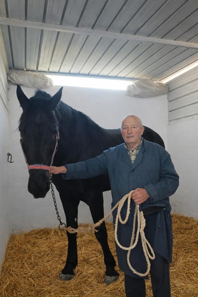 spartaco e il signor nino 683x1024