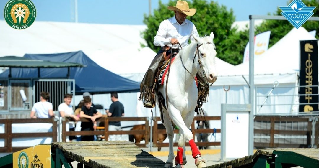 Travagliato Cavalli 2026: programma, date e protagonisti della 44ª edizione