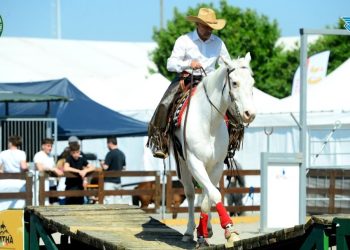 Travagliato Cavalli 2026: programma, date e protagonisti della 44ª edizione