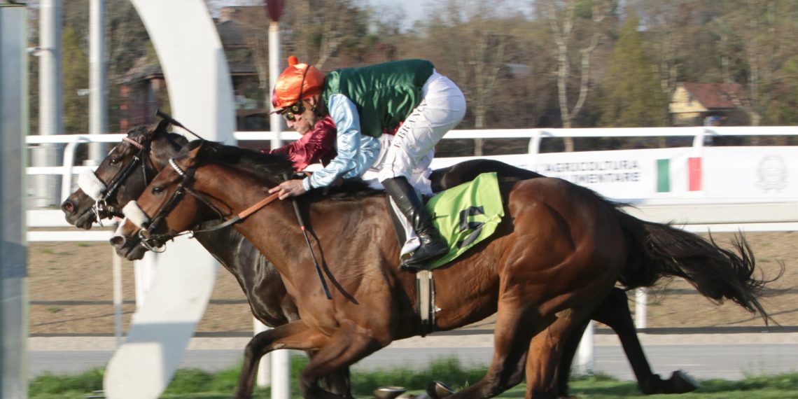 A Milano un sabato super di galoppo