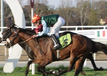 A Milano un sabato super di galoppo